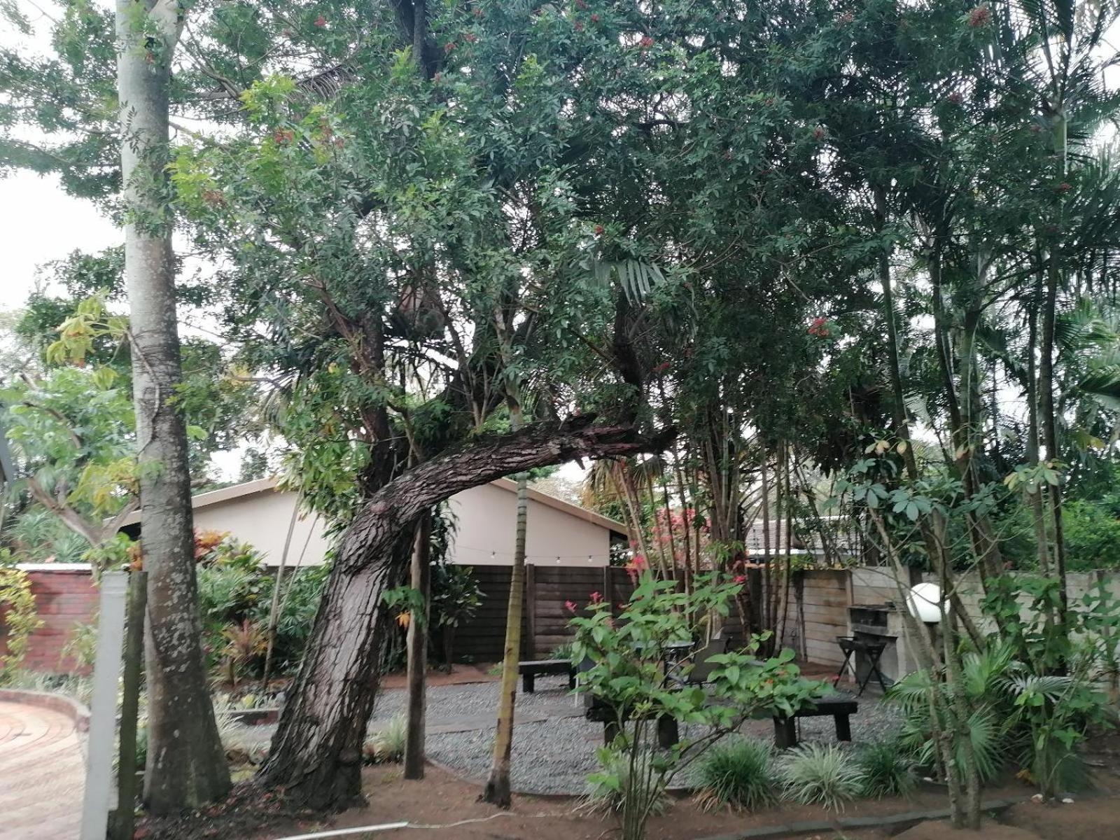 Nqabanqaba Bed and Breakfast Richardsbaai Buitenkant foto